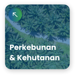 Perkebunan (Pic3)
